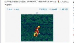 晶核最新宠物爆料,神秘生物引领奇幻冒险之旅